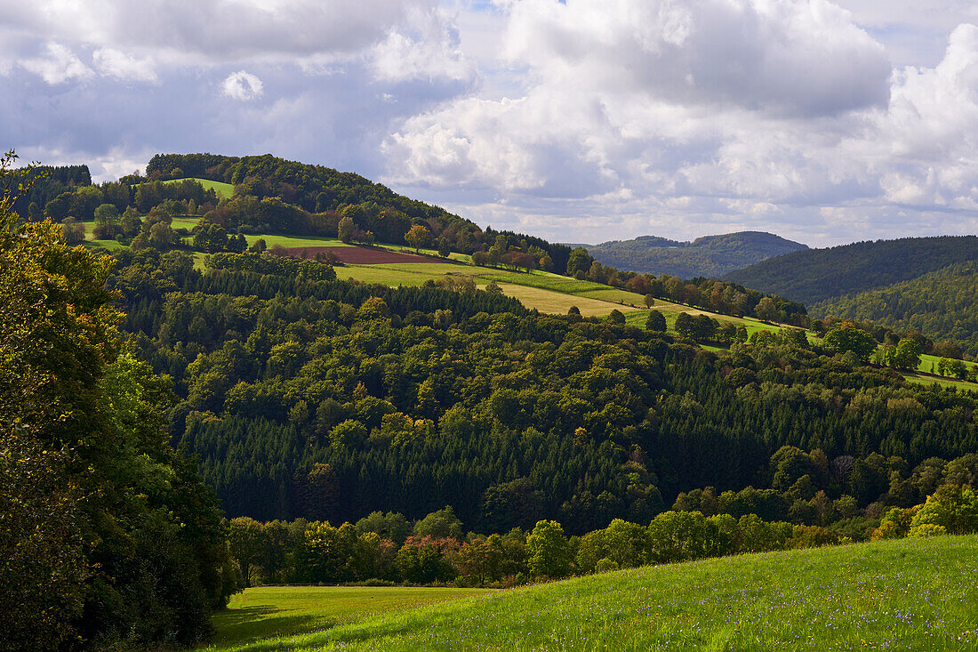 View from the nature reserve Lösershag on Oberbach and the NSG Black Mountains in the biosphere reserve Rhön, Lower Franconia, Franconia, Bavaria, Germany