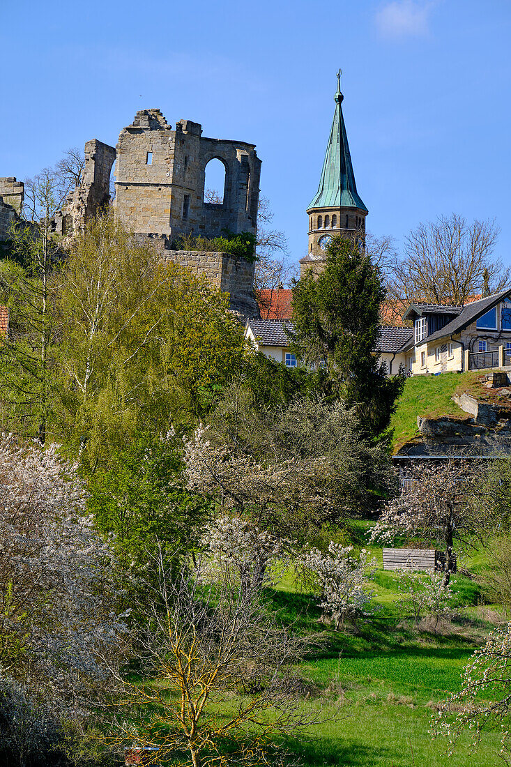 Ruine Altenstein in Altenstein, Markt Maroldsweisach, Naturpark Haßberge, Landkreis Hassberge, Unterfranken, Franken, Bayern, Deutschland