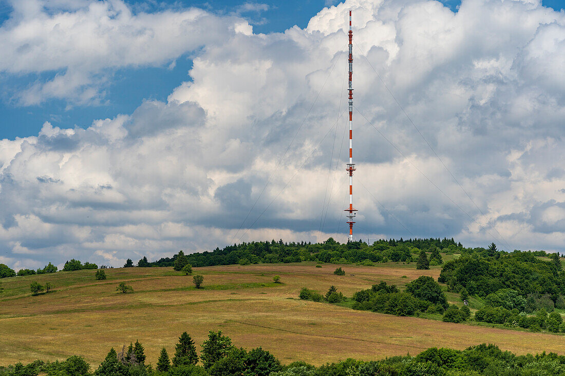 The Lange Rhön nature reserve in the core zone of the Rhön Biosphere Reserve, Hesse, Bavaria, Germany