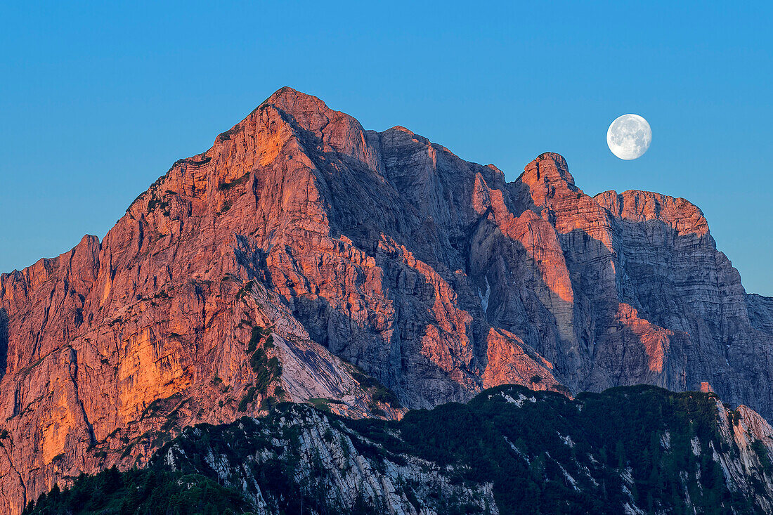 Rock faces of the Scarnia in the morning red with a full moon, Rifugio Boz, Feltriner Berge, Belluneser Höhenweg, Dolomites, Veneto, Venetia, Italy