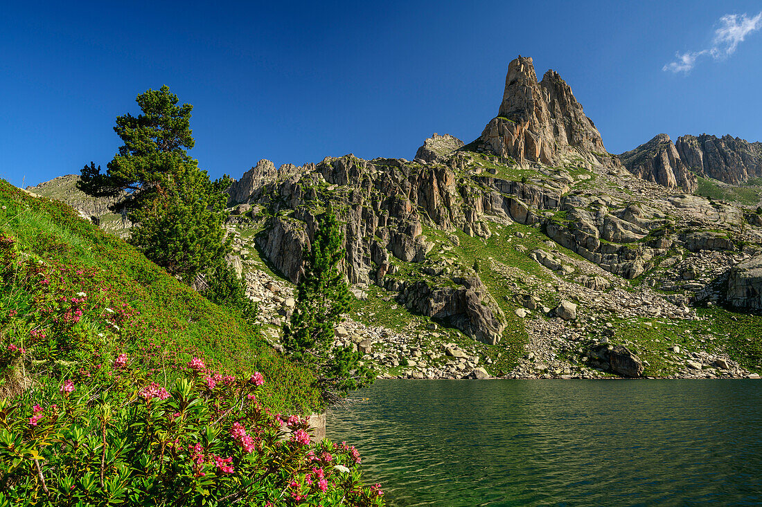 Lake Estany Gran Amitges and Agulles Amitges, Aigüestortes i Estany de Sant Maurici National Park, Pyrenees, Catalonia, Spain