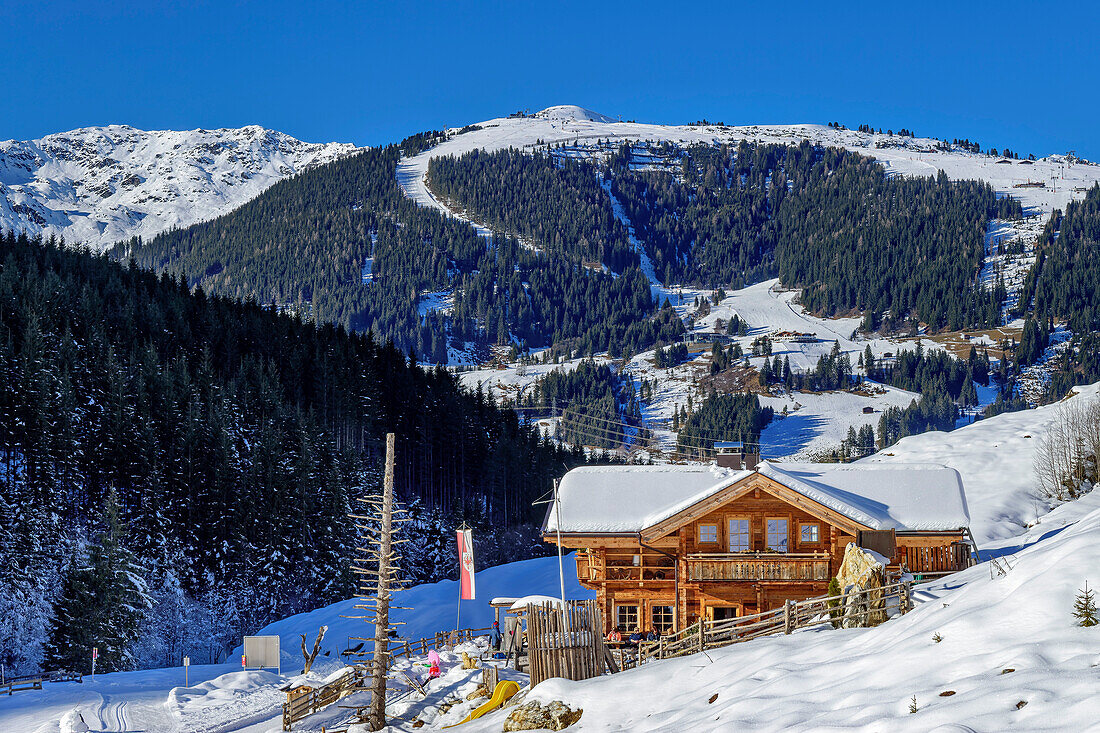 Bewirtschaftete Jörgleralm, Schwarzachtal, Zillertaler Alpen, Tirol, Österreich