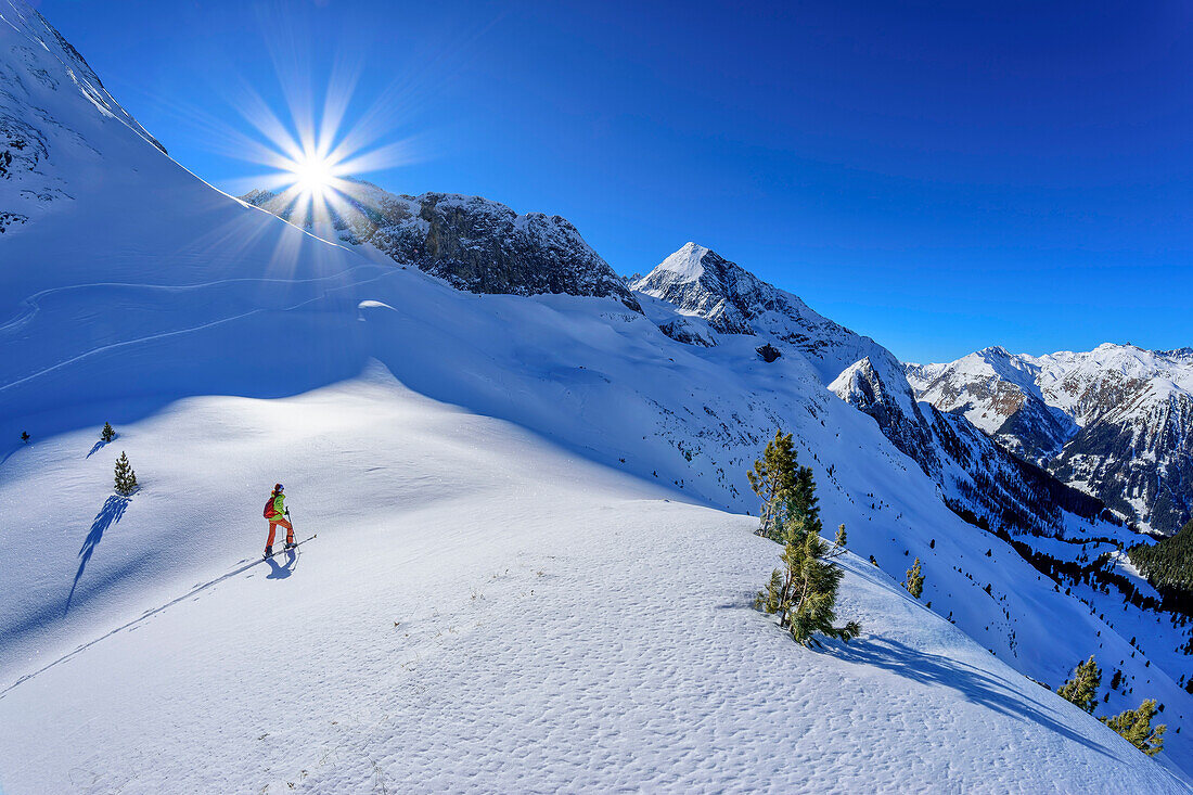 Frau auf Skitour steigt zur Hauserspitze auf, Hauserspitze, Tuxertal, Zillertaler Alpen, Tirol, Österreich