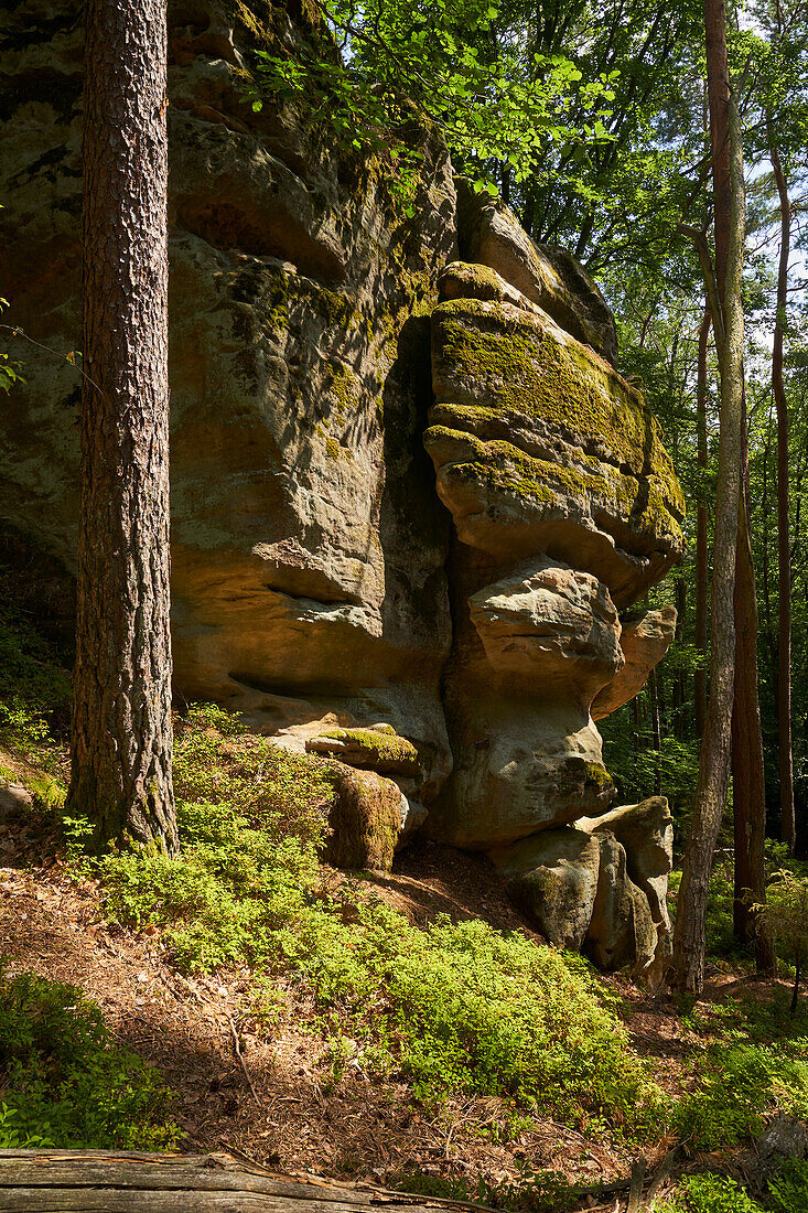 Die Geißstein Felsen bei Altenstein, Naturpark Haßberge, Unterfranken, Bayern, Deutschland                               