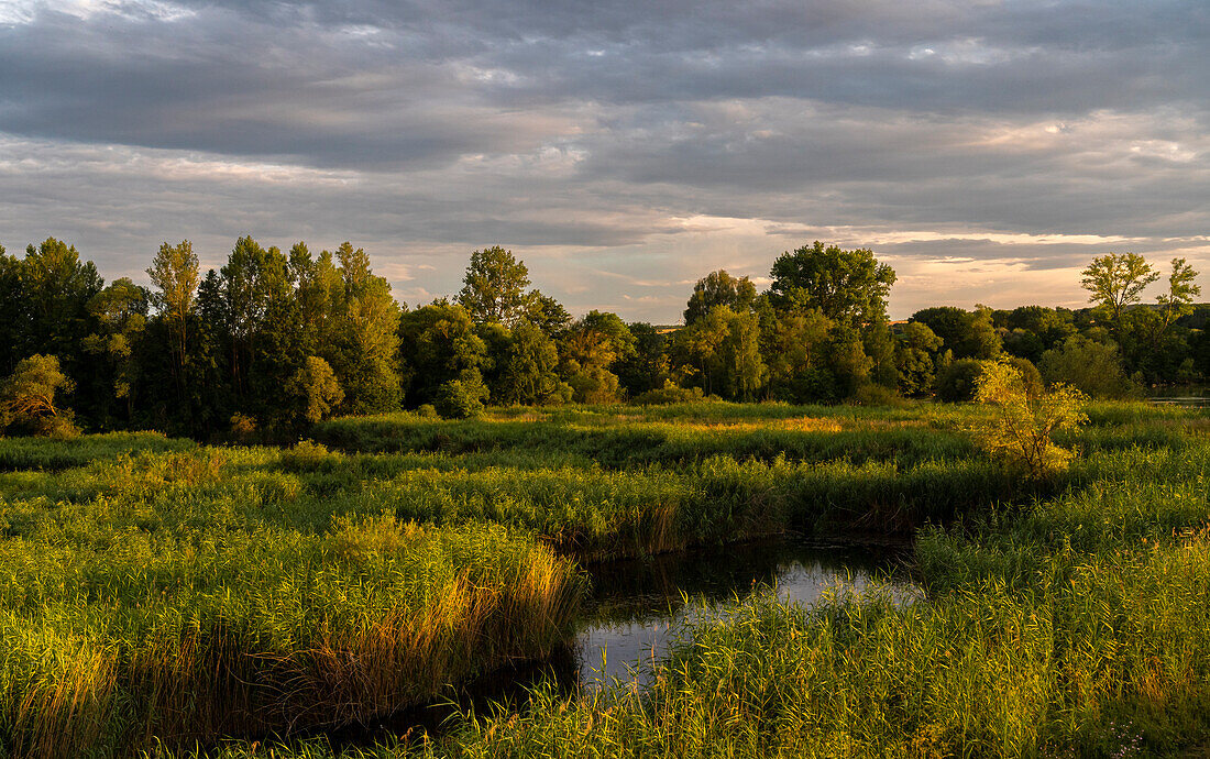 Sonnenuntergang im Vogelschutzgebiet NSG Garstadt bei Heidenfeld im Landkreis Schweinfurt, Unterfranken, Bayern, Deutschland\n