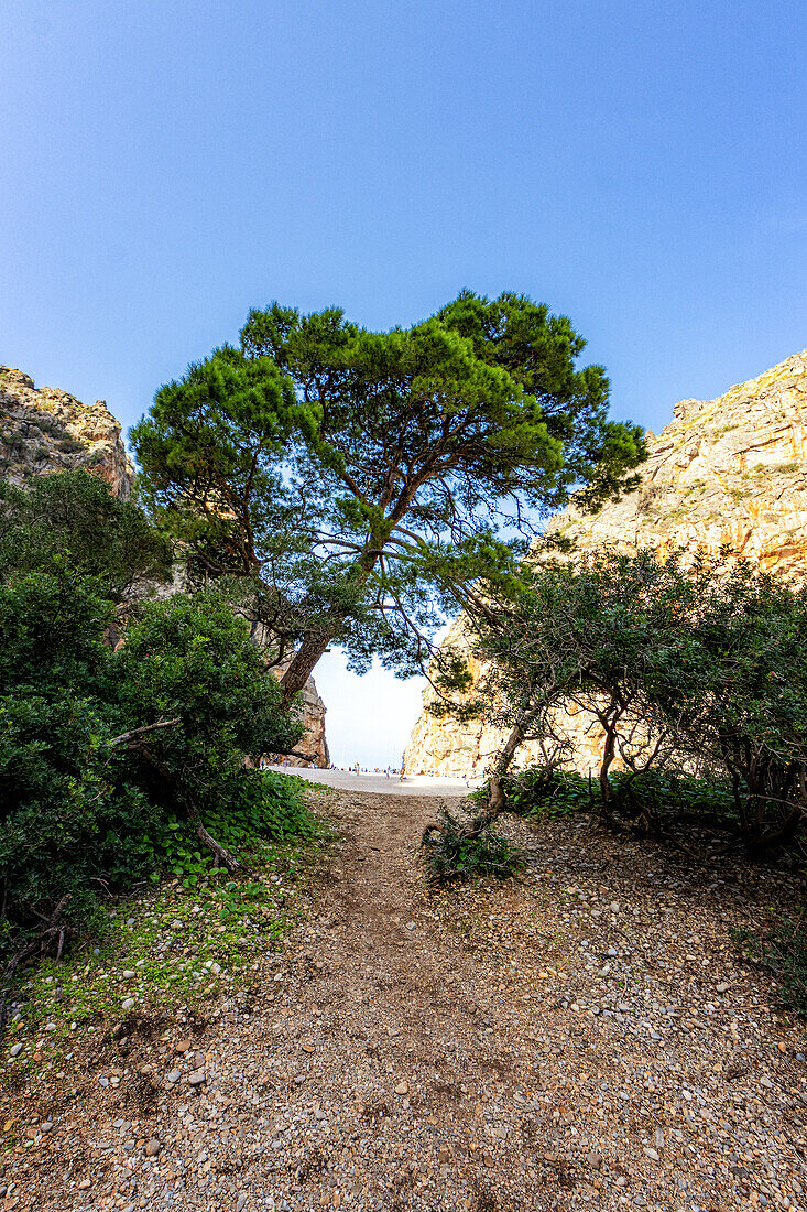 Torrent de Pareis, Sa Calobra, Mallorca, Spain