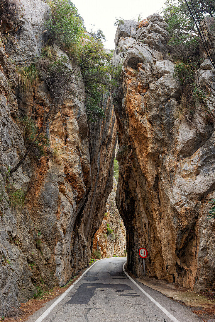 Straße durch Felsenschlucht bei Escorca, Serra de Tramuntana, Nordküste, Mallorca, Spanien