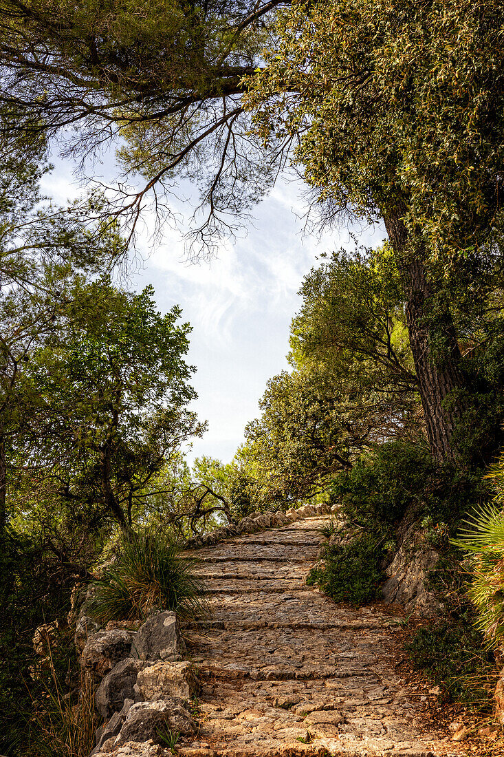 Aufstieg zum Kloster Santuari de la Mare de Déu del Puig, bei Pollenca, Serra de Tramuntana, Nordküste, Mallorca, Spanien