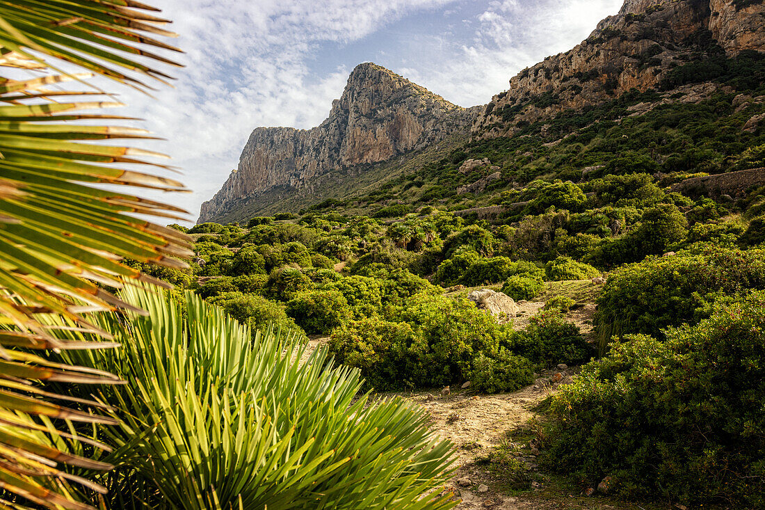 Wanderweg im Tal Vall de Boquer, bei Pollenca, Serra de Tramuntana, Nordküste, Mallorca, Spanien