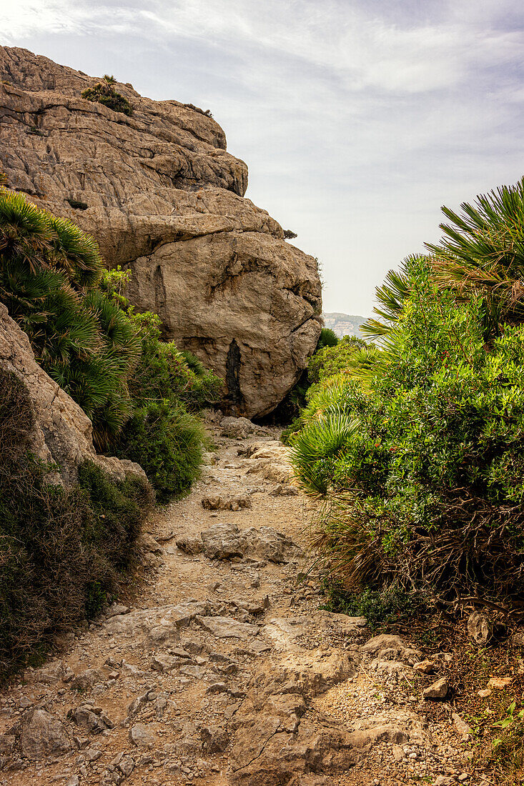 Wanderweg im Tal Vall de Boquer, bei Pollenca, Serra de Tramuntana, Nordküste, Mallorca, Spanien