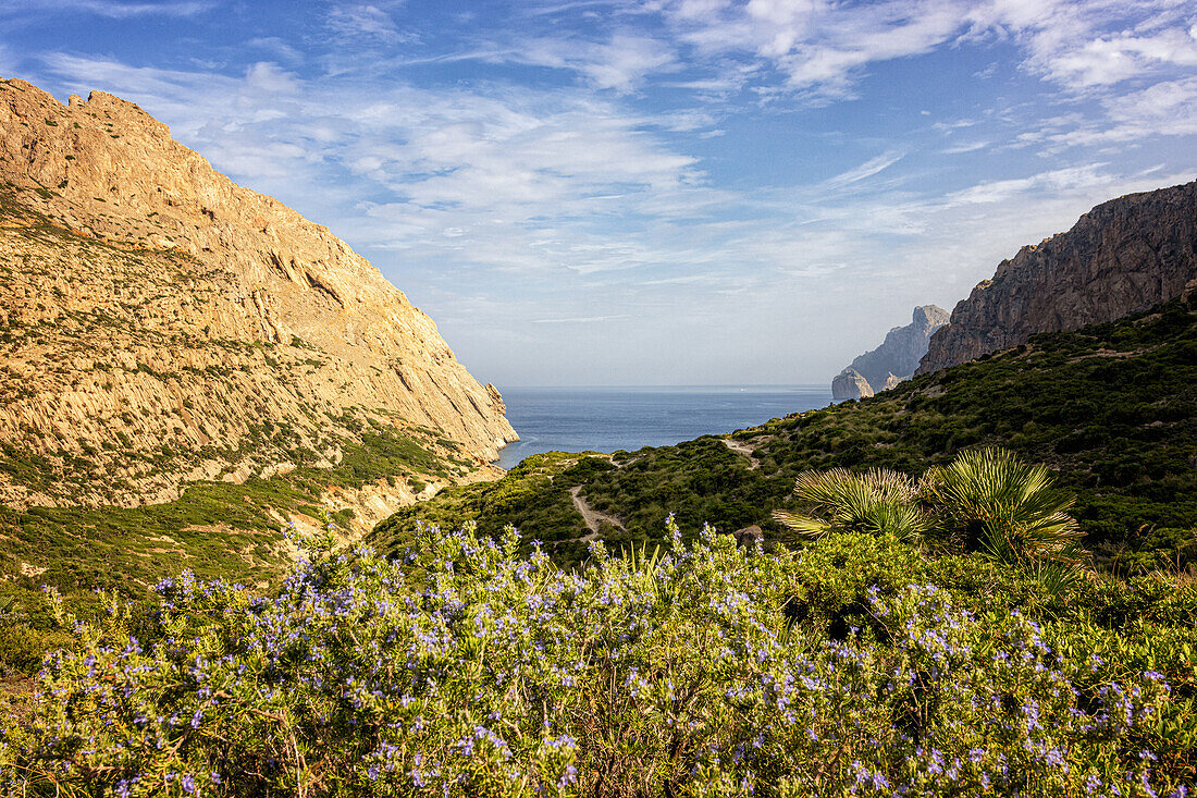 Wanderweg im Tal Vall de Boquer, bei Pollenca, Serra de Tramuntana, Nordküste, Mallorca, Spanien