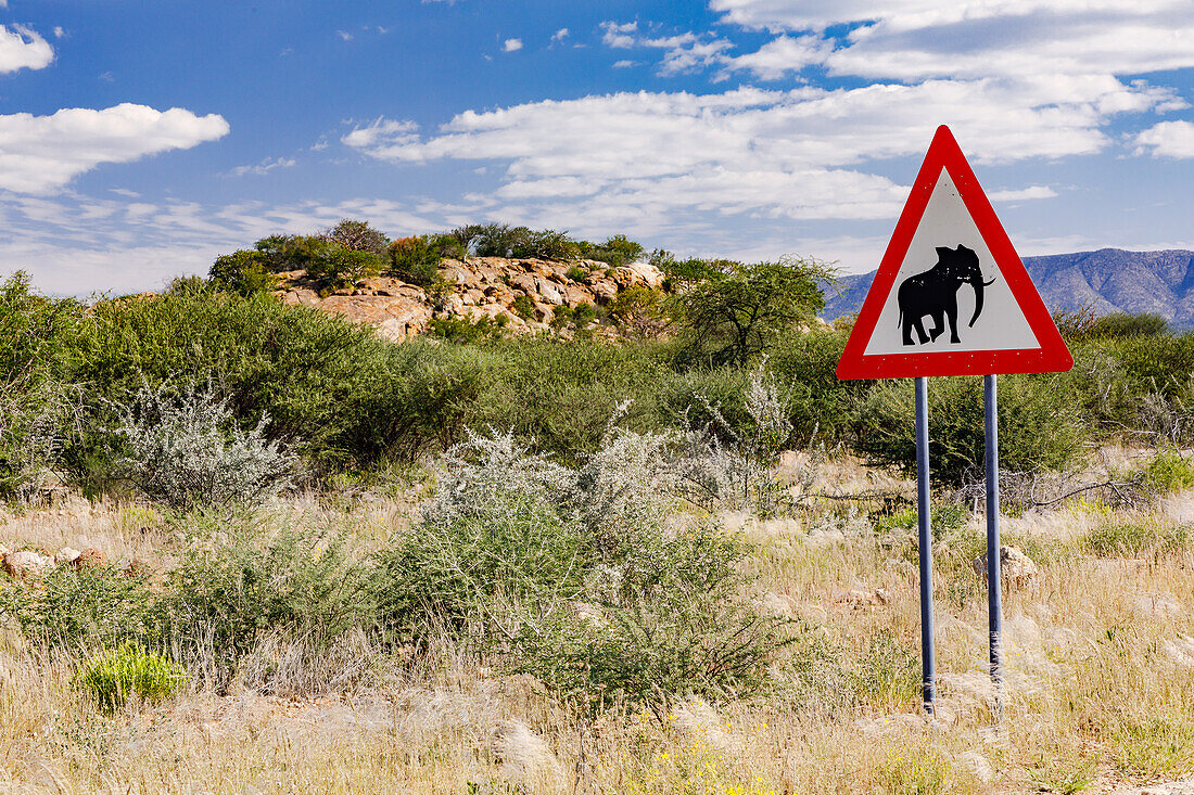 A red triangle sign Elephants crossing next to a gravel road in the savannah in the Erongo Mountains of Namibia, Africa