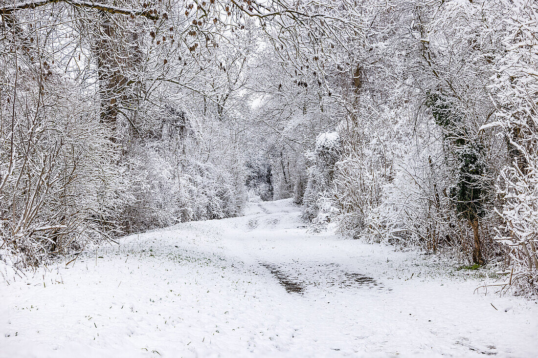 Snowy lonely dirt road with footprints in winter with snow and ice, Hesse, Germany