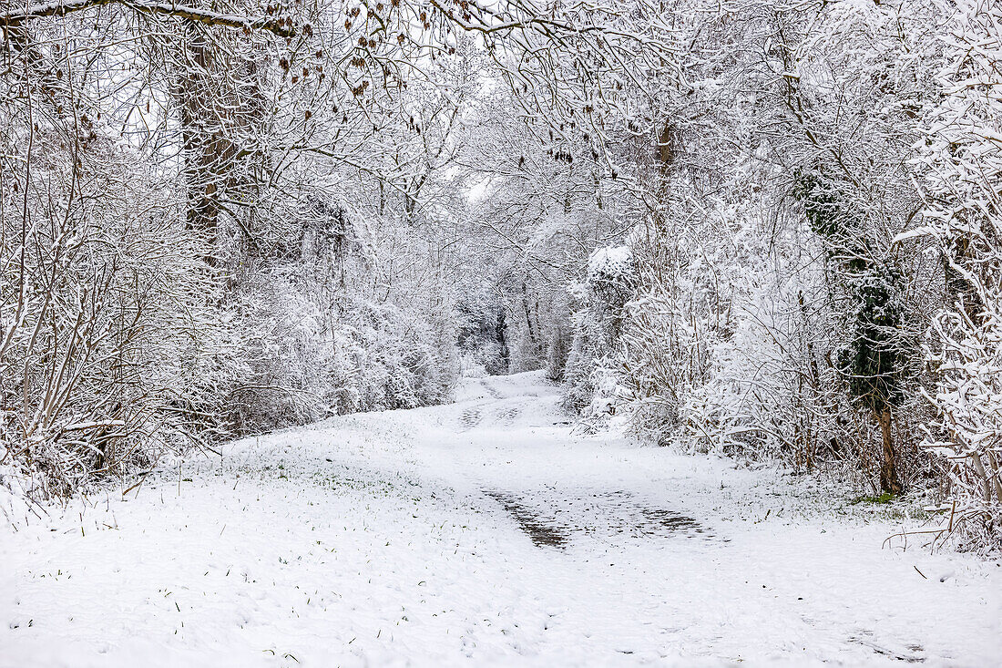 Verschneiter einsamer Feldweg mit Fußspuren im Winter mit Schnee und Eis, Hessen, Deutschland