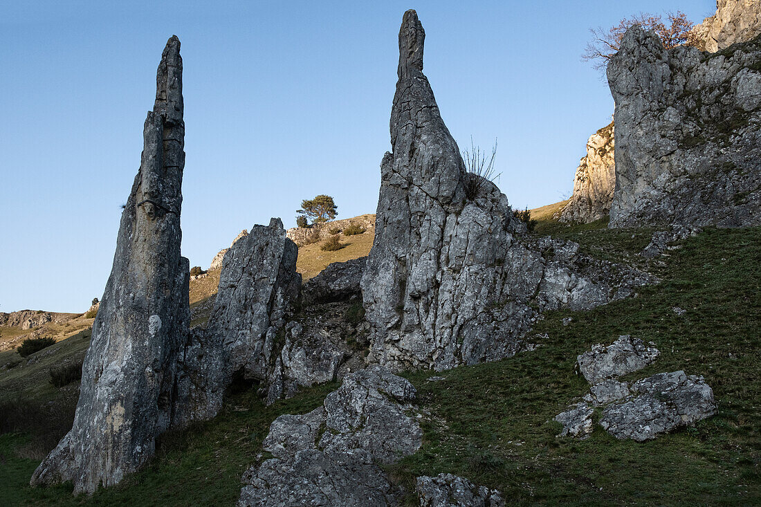 Steinerne Jungfrauen Felsformation, Eselsburger Tal, Herbrechtingen, Schwäbische Alpen, Baden Württemberg, Deutschland, Europa