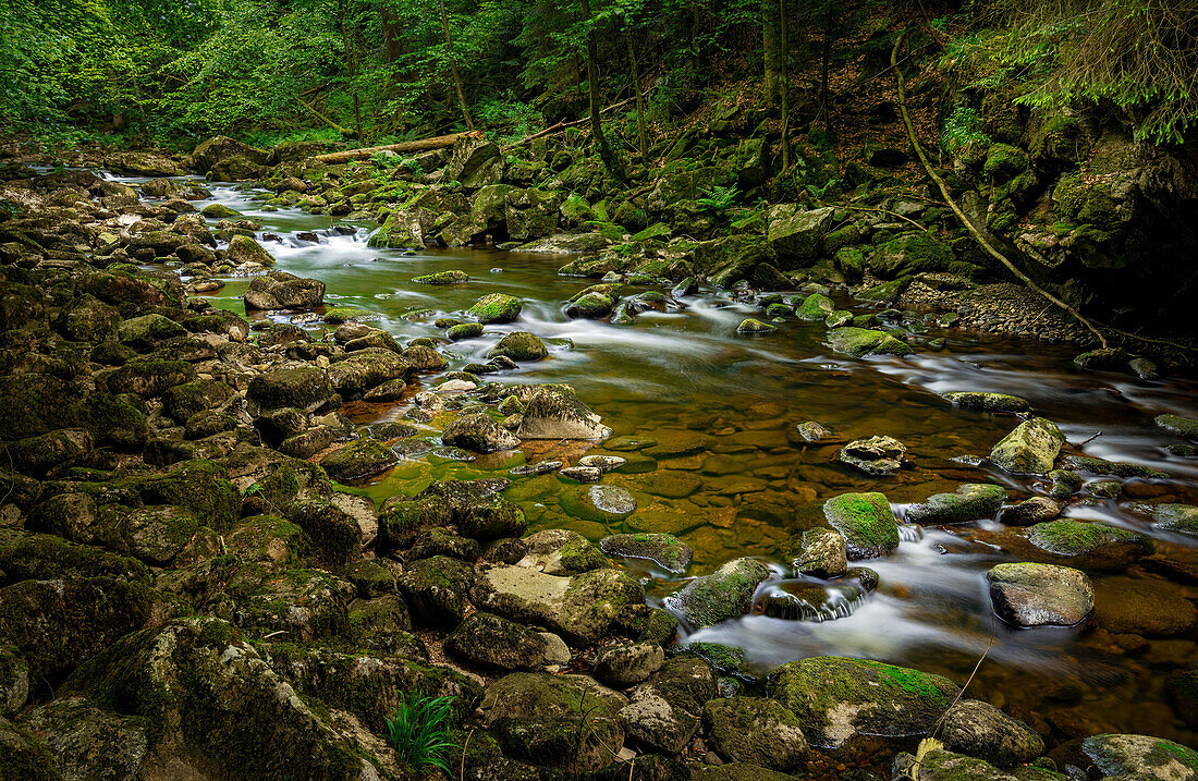 Frühling an der Buchberger Leite, Bayerischer Wald, Niederbayern, Bayern, Deutschland