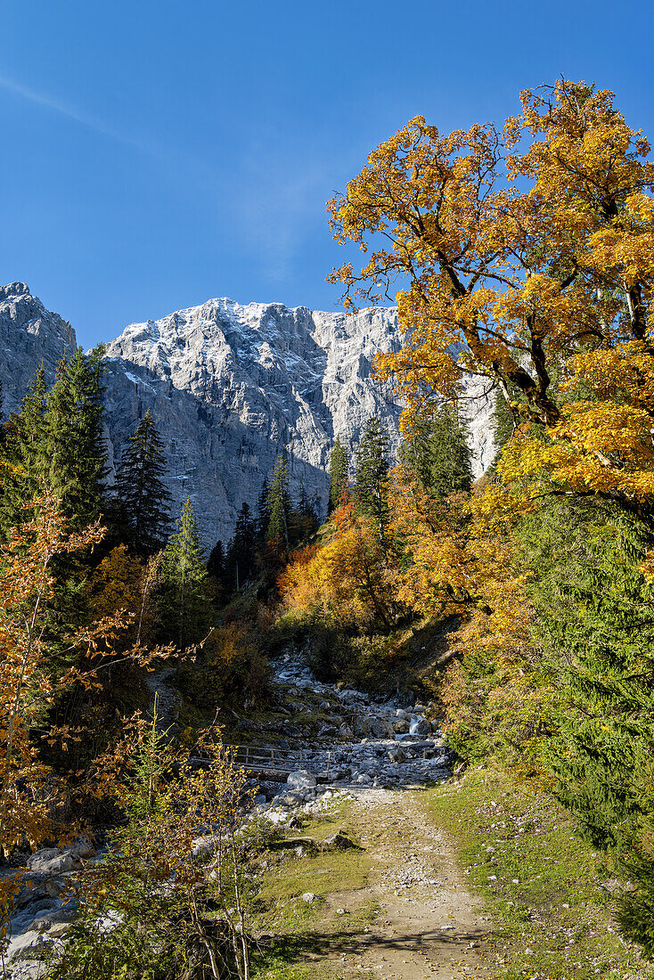 Auf dem Weg zum Enger Grund, Eng, Hinterriß, Karwendel, Tirol, Österreich