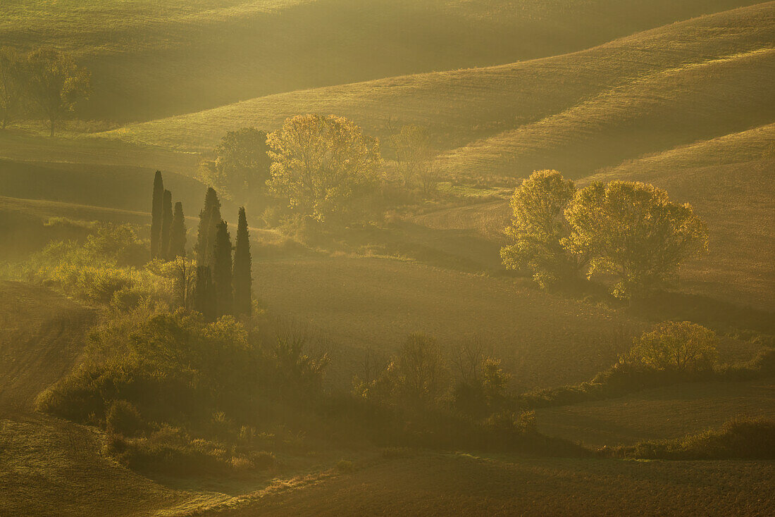 Morning fog in autumn near San Quirico d'Orcia, Tuscany, Italy, Europe