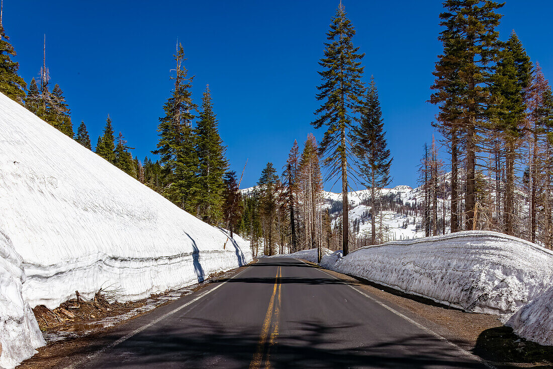 Lassen Volcanic National park in spring with massive amounts with over 18 feet of snow in some parts of the park