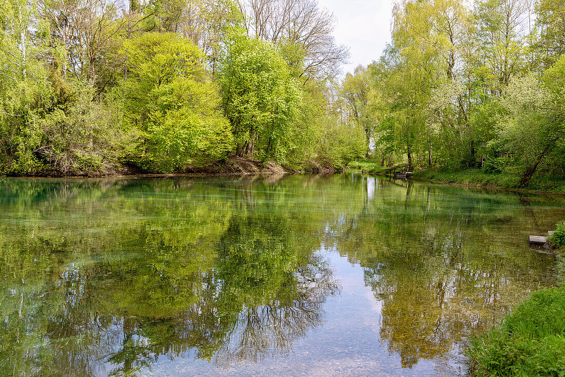 Semptquellen; Forstinninger Sempt bei Markt Schwaben, Weiher an den Semptquellen, Bayern, Deutschland