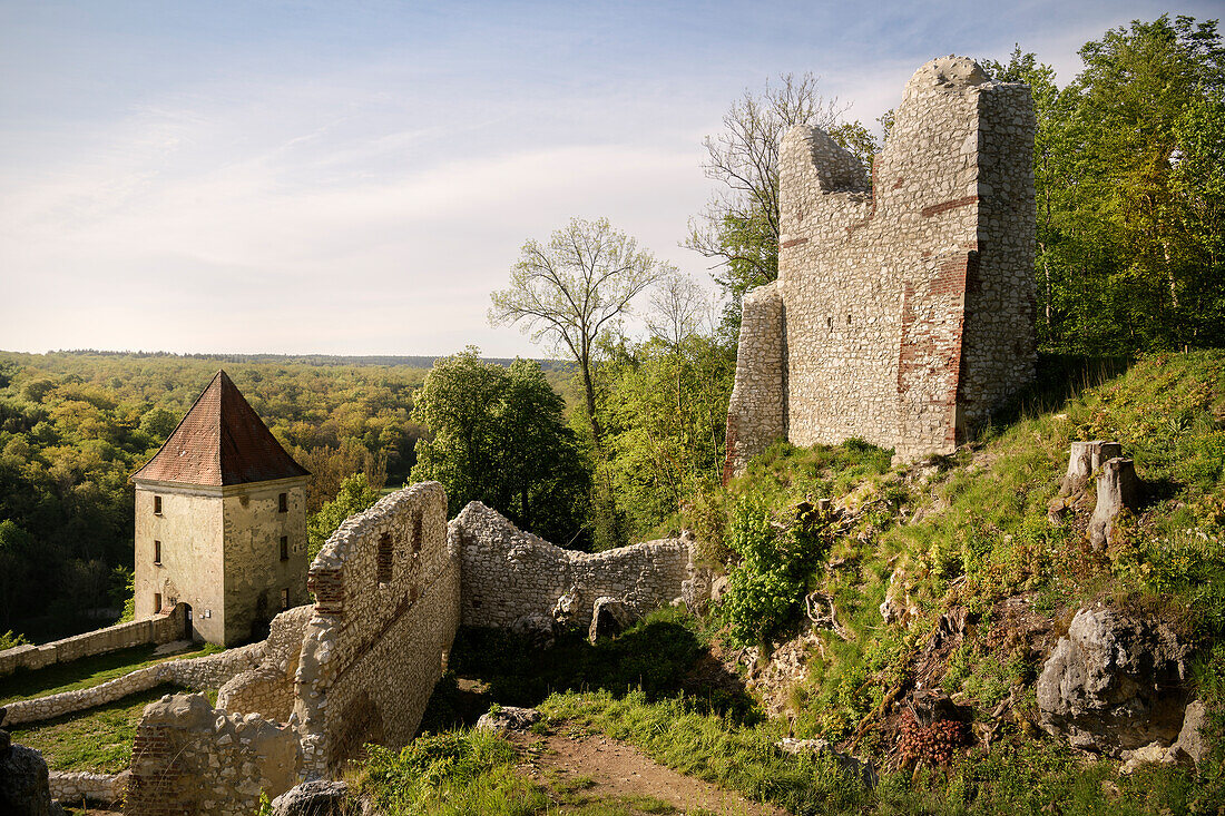 Castle ruins of Kaltenberg near Hürben in the Lone Valley, district of Heidenheim, Swabian Jura, Baden-Wuerttemberg, Germany, Europe
