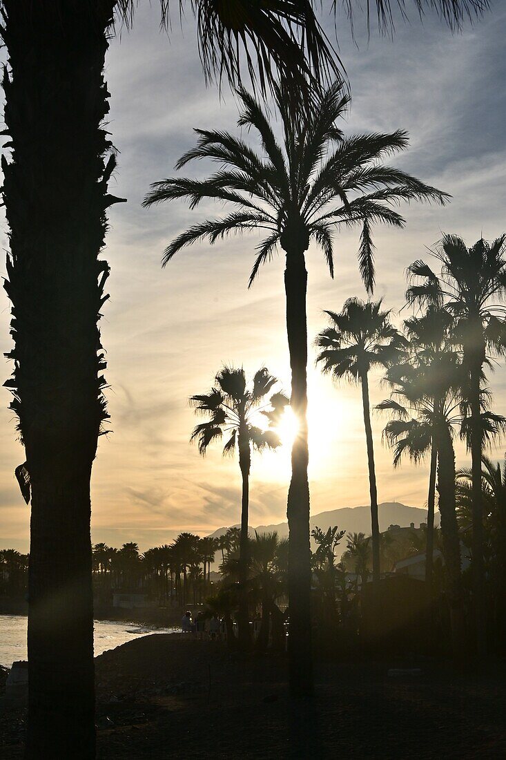 at sunset on the beach at Puerto Banus near Marbella, Costa del Sol, Andalusia, Spain