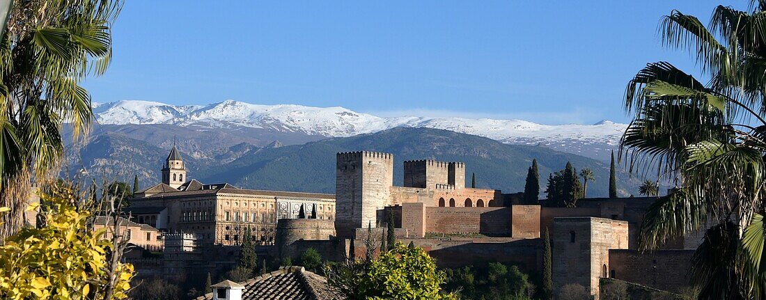 Blick von Albaicin auf die Alhambra und Sierra Nevada, Granada, Andalusien, Spanien