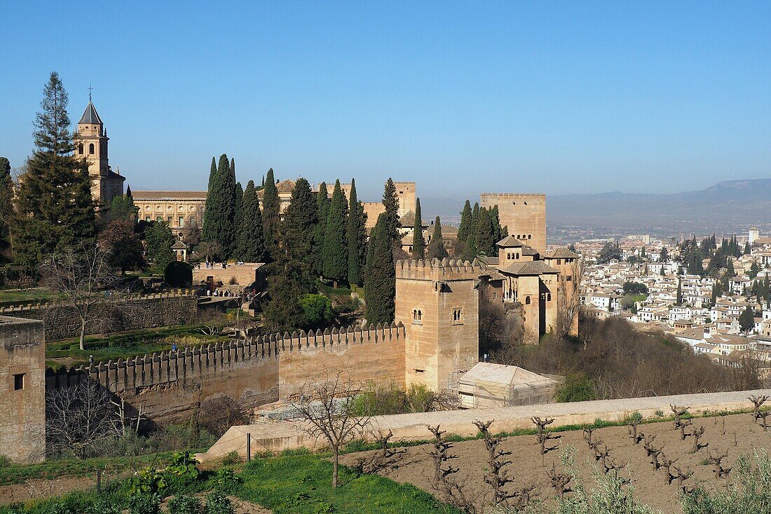 Blick von der Generalife auf die Alhambra, Granada, Andalusien, Spanien
