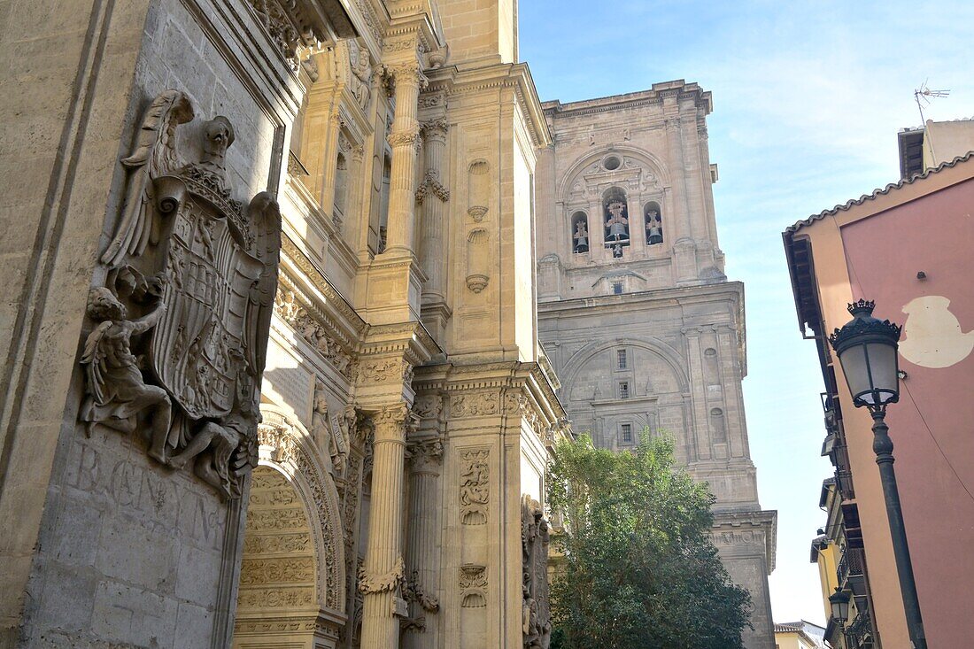 in der Altadt an der Kathedrale, Granada, Andalusien, Spanien