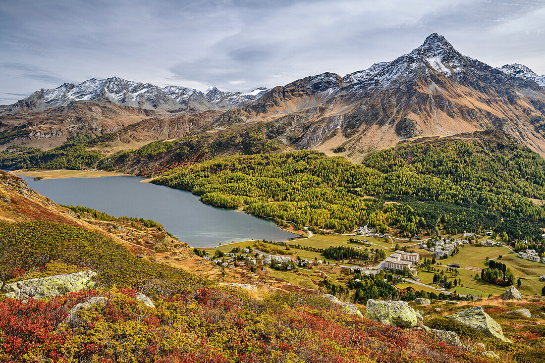 Blick auf Silser See, Maloja und Berninagruppe, vom Lunghinsee, Innquelle, Albula-Alpen, Graubünden, Schweiz