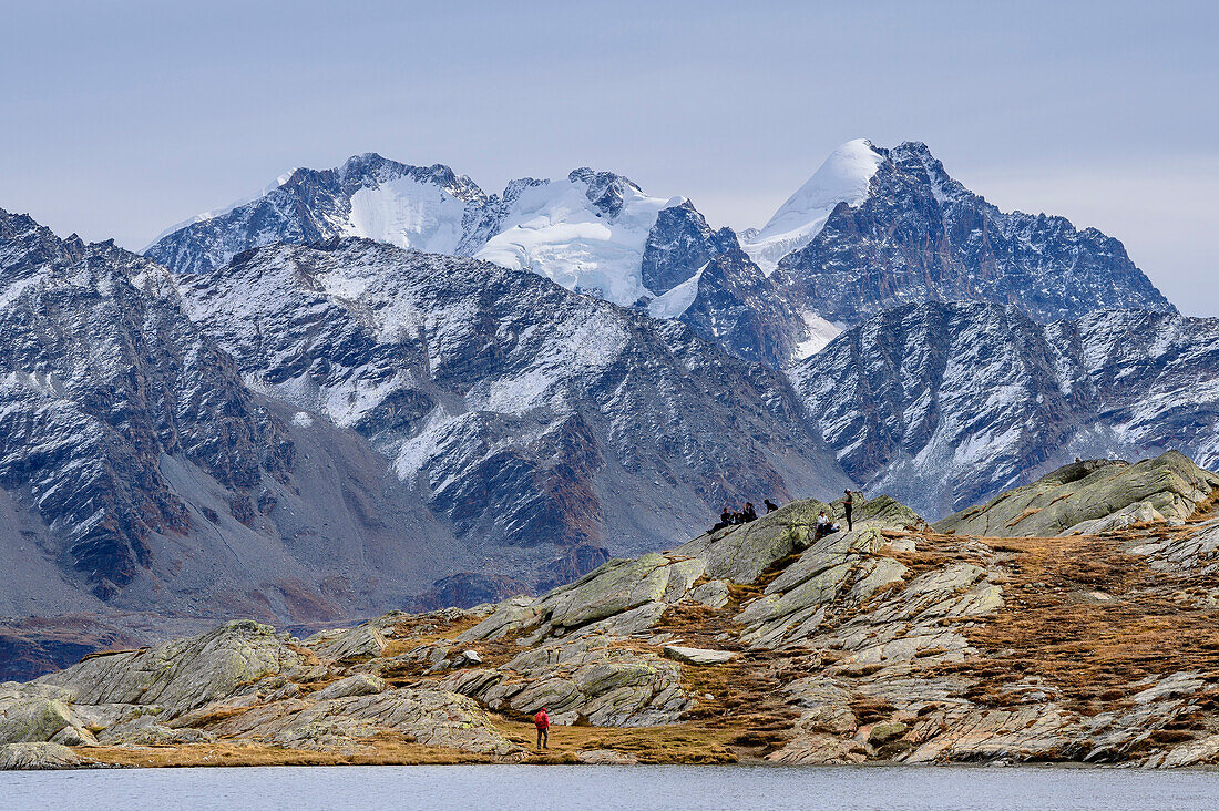 Several people take a break at the Lunghinsee, Piz Bernina and Piz Roseg in the background, Lunghinsee, Innquelle, Albula Alps, Graubünden, Switzerland