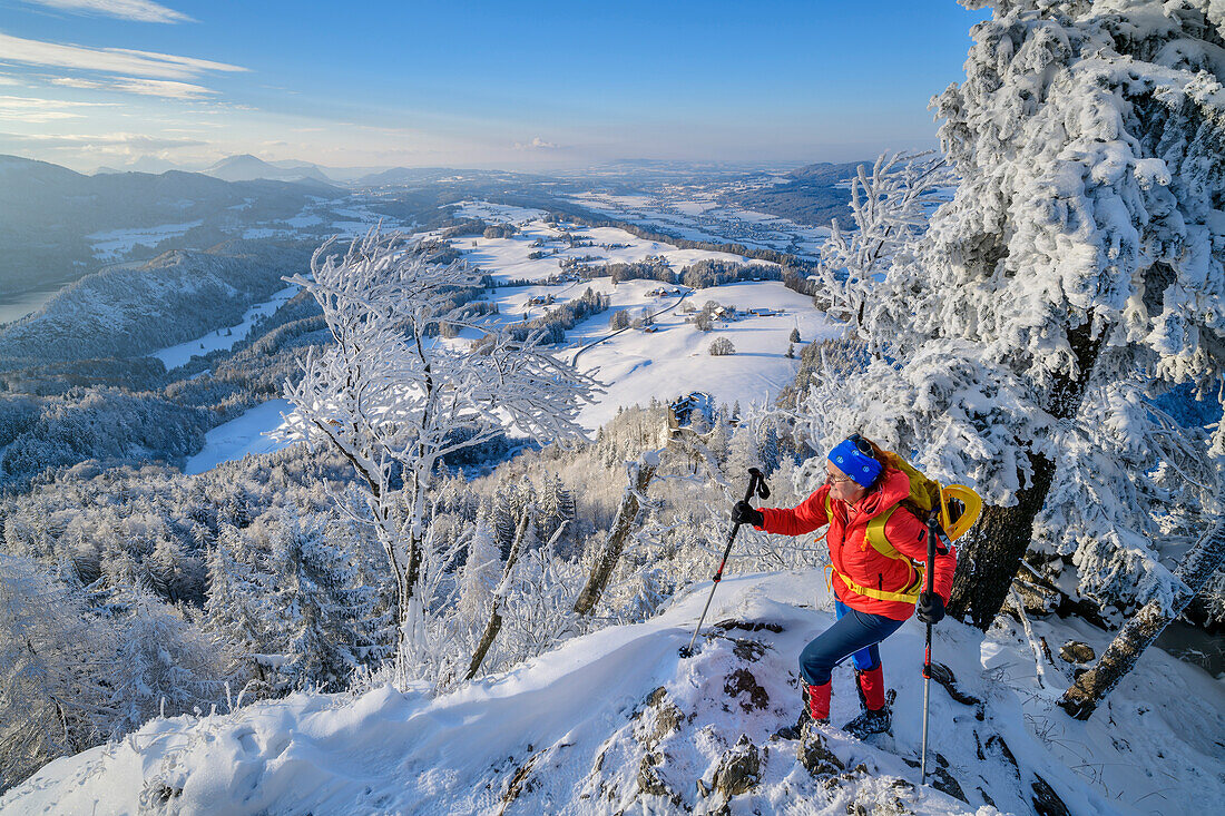 Woman hiking in winter climbing up to the Schober, Schober, Salzkammergut, Salzkammergut Mountains, Salzburg, Austria