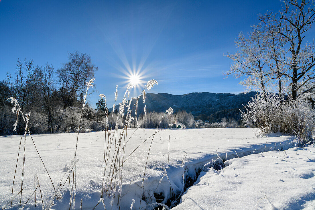 Winter mood on the shore of Lake Fuschl, Fuschlsee, Salzkammergut, Salzkammergut Mountains, Salzburg, Austria