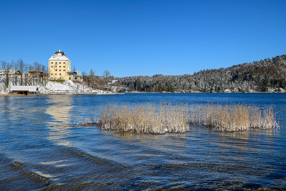 Winter mood on the shore of Lake Fuschl with a view of Schloss Fuschl, Lake Fuschl, Salzkammergut, Salzkammergut Mountains, Salzburg, Austria
