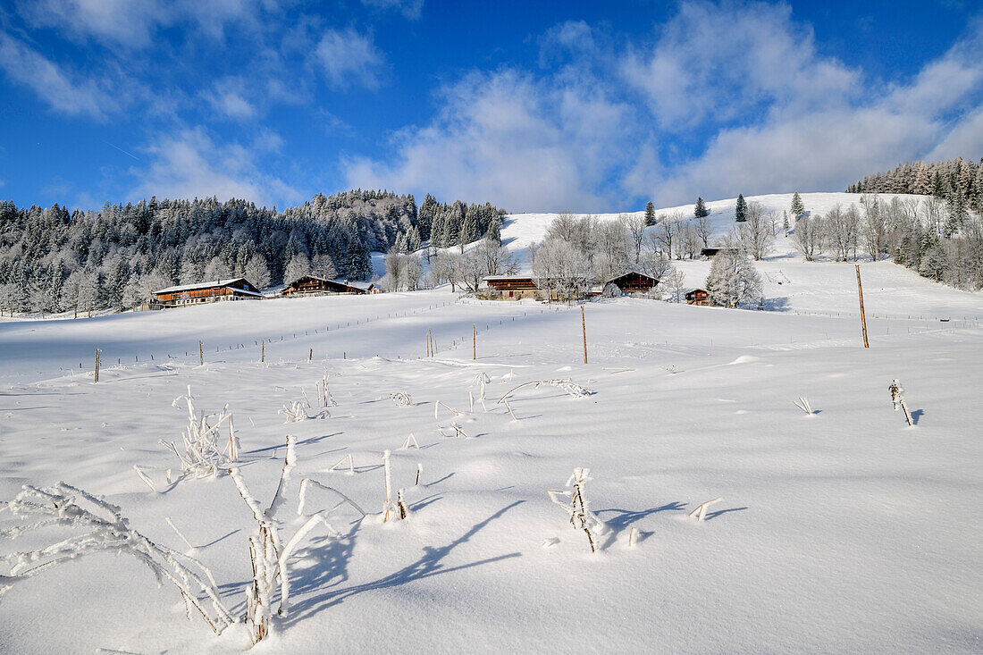 Farmhouses of the Hohen Asten, Hohe Asten, Bavarian Alps, Upper Bavaria, Bavaria, Germany