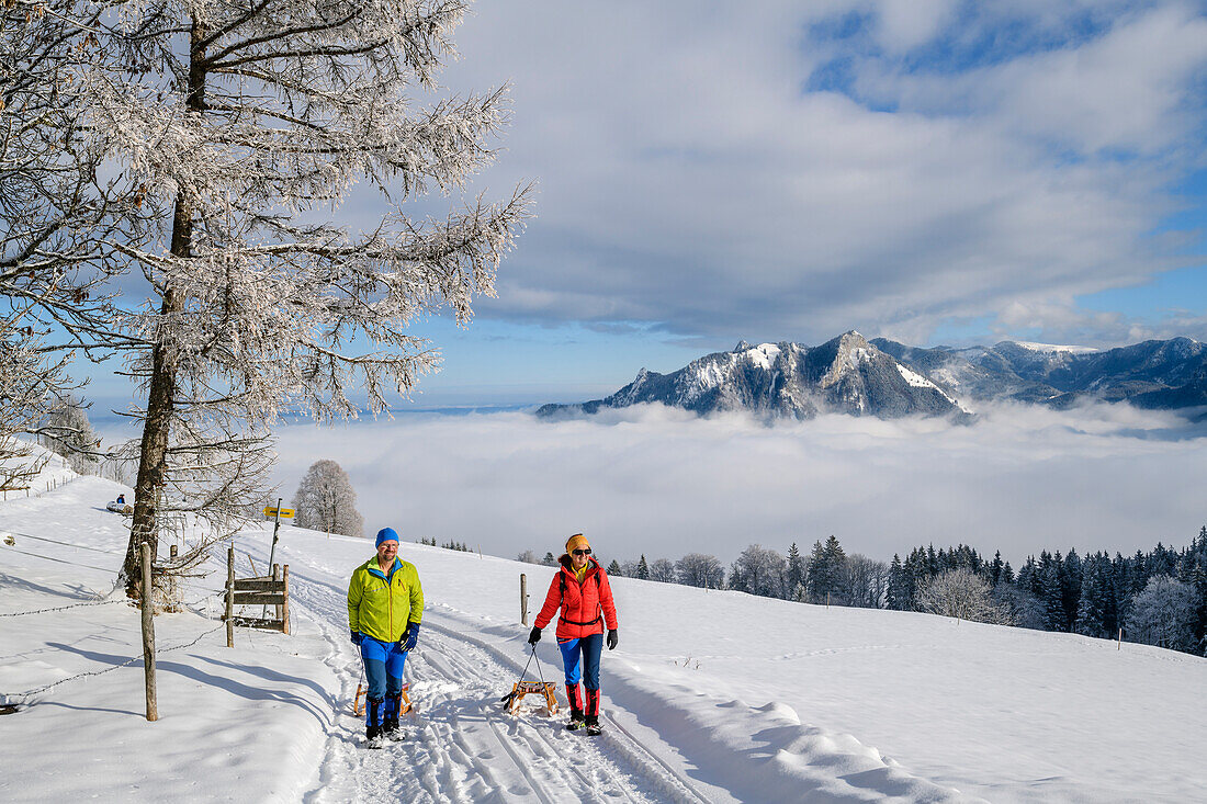 Mann und Frau ziehen Schlitten zur Hohen Asten, Heuberg im Hintergrund, Hohe Asten, Bayerische Alpen, Oberbayern, Bayern, Deutschland