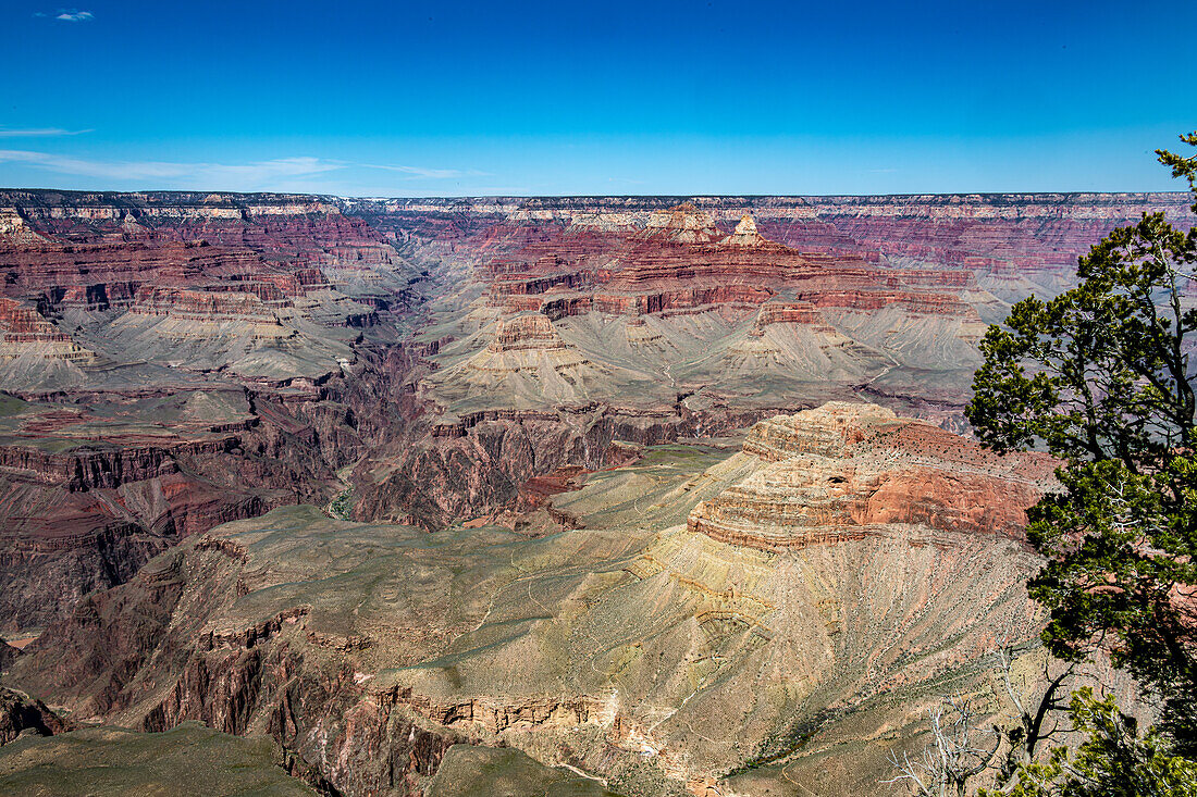 Südrand des Grand Canyon im Frühling, Arizona, USA