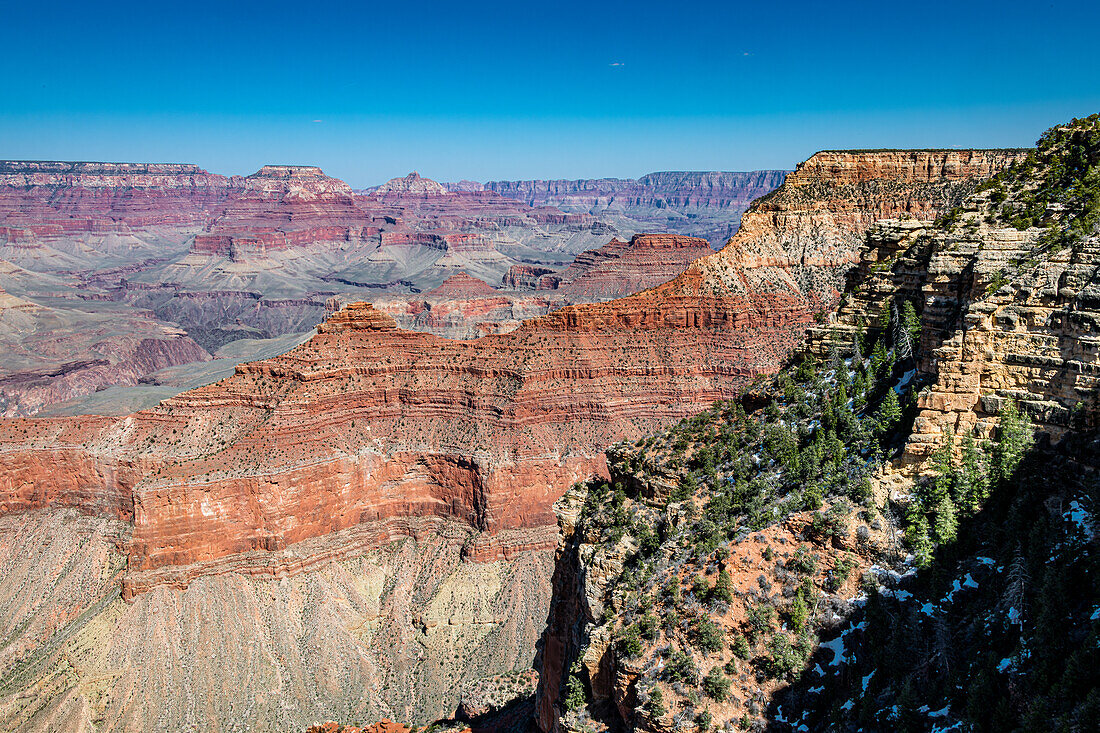 Südrand des Grand Canyon im Frühling, Arizona, USA