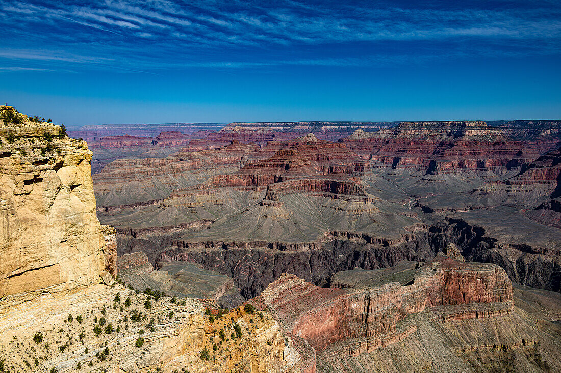 South Rim of the Grand Canyon in Springtime