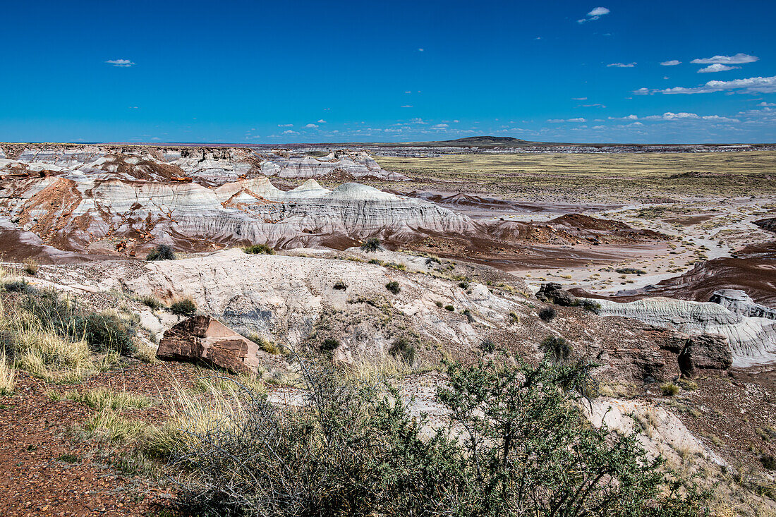 Petrified-Forest-Nationalpark, Arizona, USA