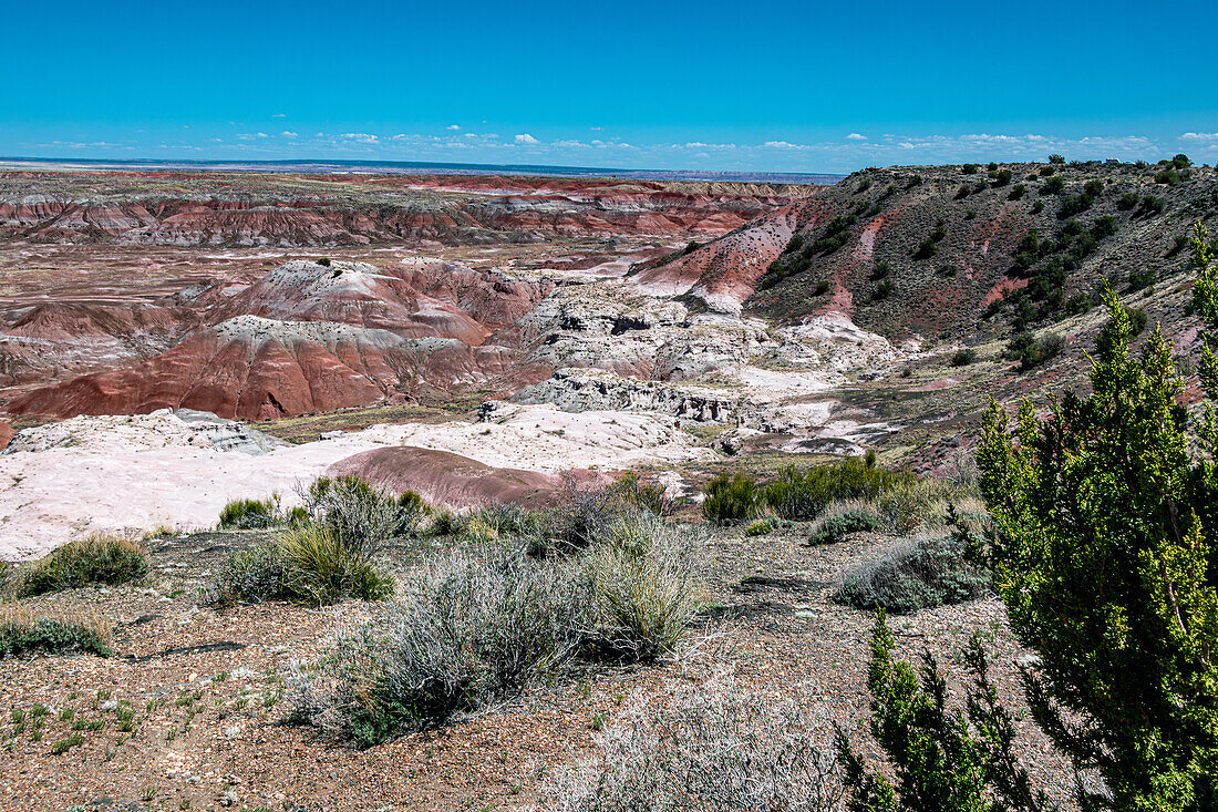 Blick auf die Painted Desert im Petrified-Forest-Nationalpark, Arizona, USA