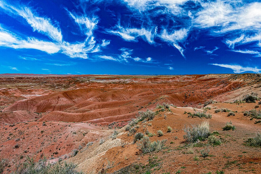 Blick auf die Painted Desert im Petrified-Forest-Nationalpark, Arizona, USA