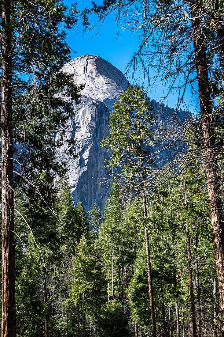 Frühling im Yosemite-Nationalpark, Kalifornien, USA