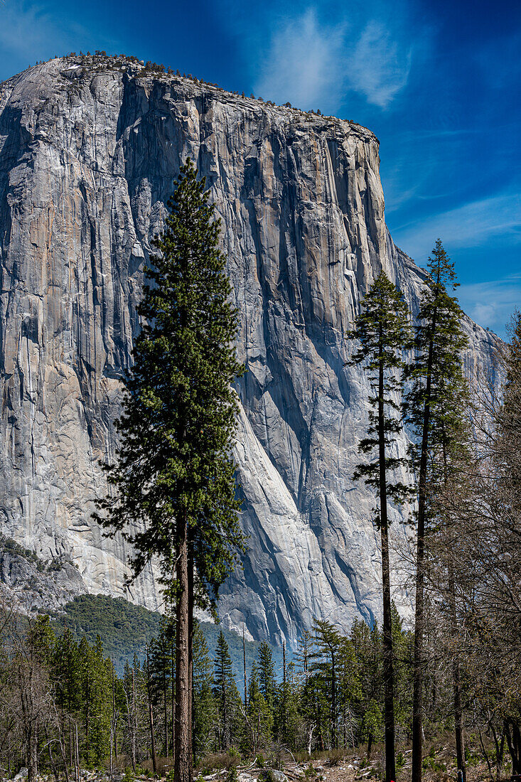 El Capitan in Springtime in Yosemite National Park