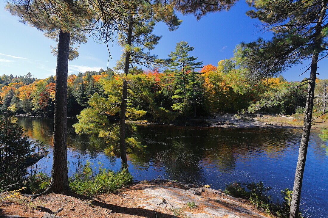 Dorwin Falls, Fluss und Wald, Rawdon, Quebec, Kanada