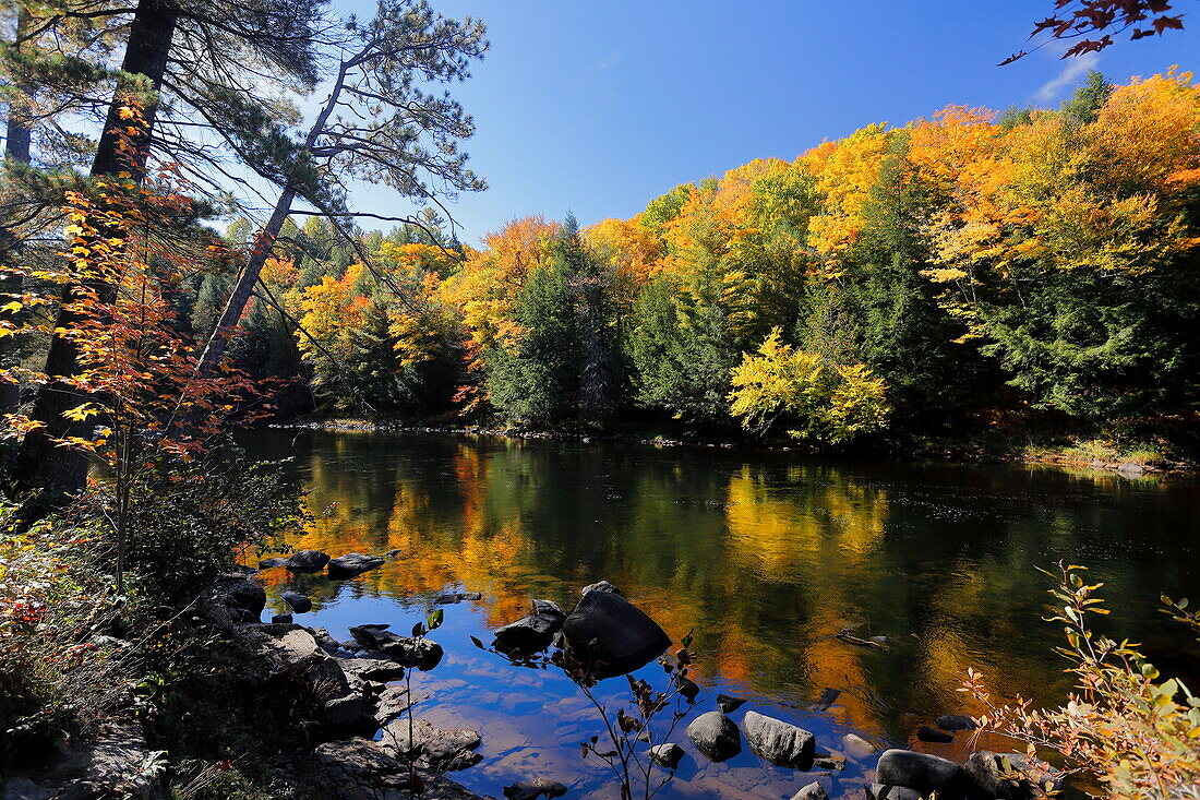 Dorwin Falls, Fluss und Wald, Rawdon, Quebec, Kanada