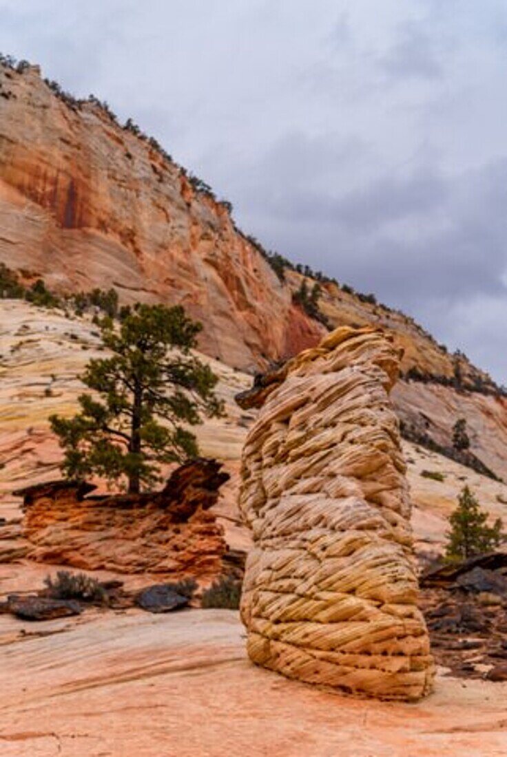 Eroded rock formations in the landscape of the Zion National Park in Utah, USA.