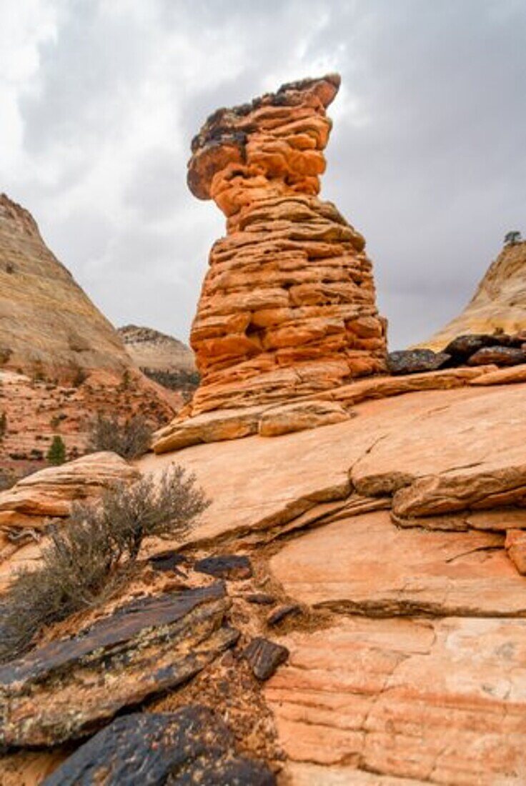 Erodierte Felsformationen in der Landschaft des Zion-Nationalpark in Utah, USA.