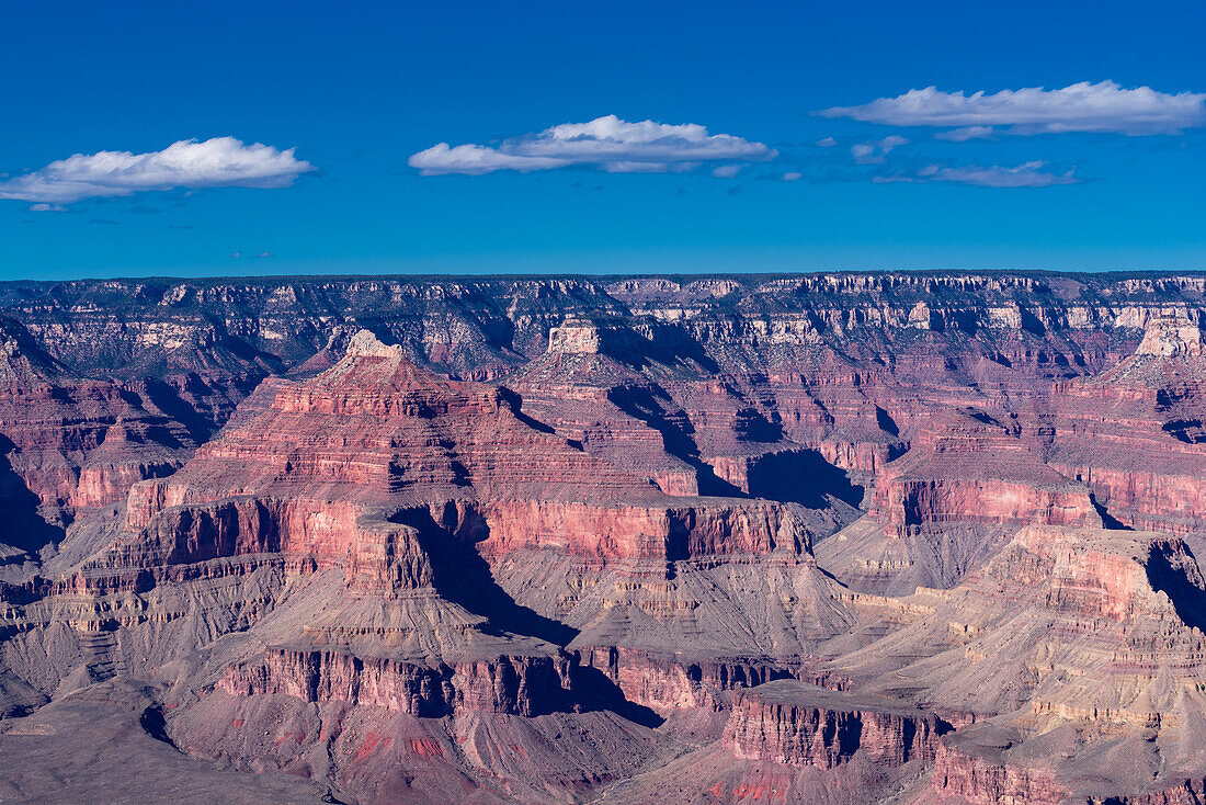 The Grand Canyon as seen from the South Rim in Arizona. The large gorge was eroded over millions of years by weather and the Colorado river that still runs through it. The reddish tint it has is due to the iron contained in the rock's minerals that oxide.