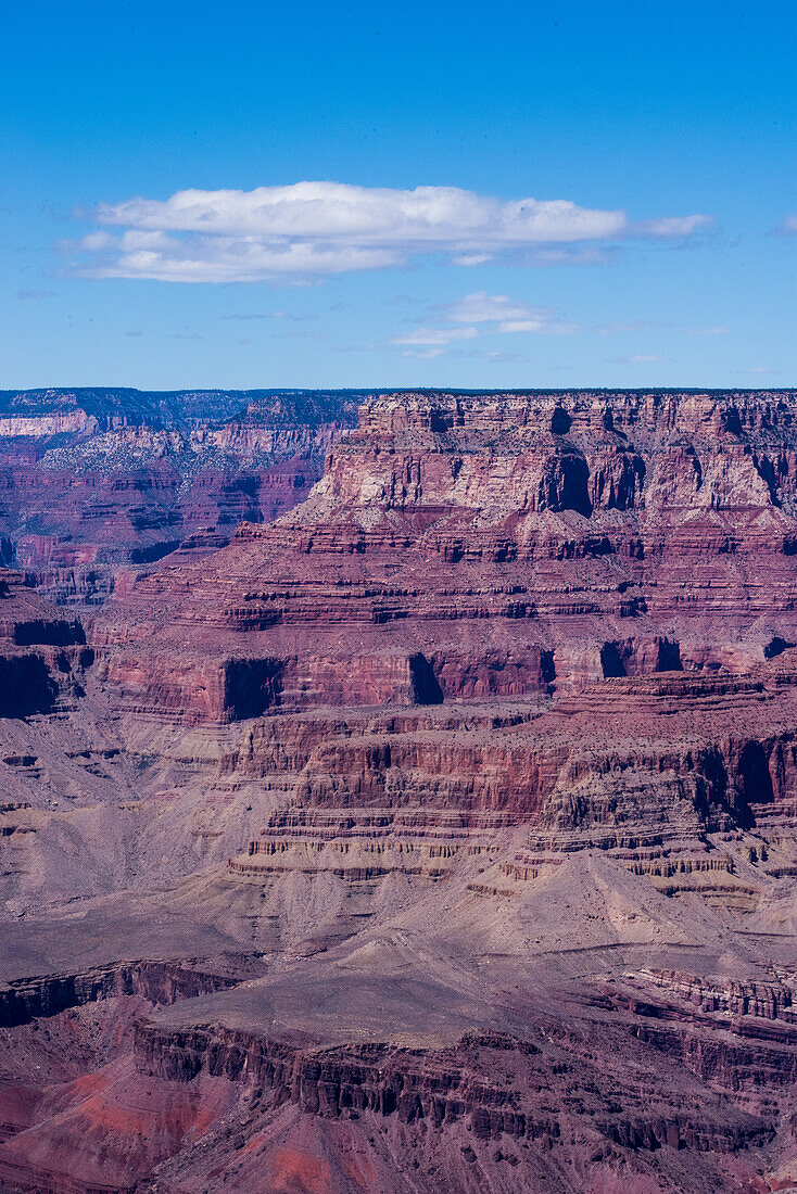 The Grand Canyon as seen from the South Rim in Arizona. The large gorge was eroded over millions of years by weather and the Colorado river that still runs through it. The reddish tint it has is due to the iron contained in the rock's minerals that oxide.